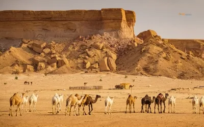 10 Most Beautiful Places in Saudi Arabia You Must Visit | Holiday Planner